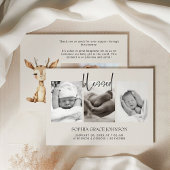 Vintages Plush Kinderzimmer Tiere Ankündigung