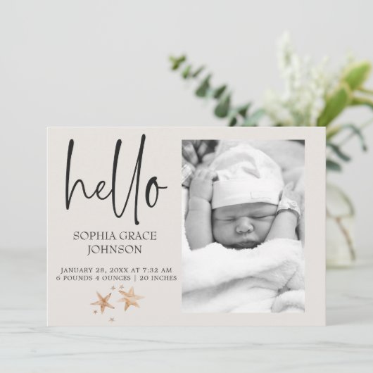 Vintages Plush Kinderzimmer Tiere Ankündigung (Stehend Vorderseite)