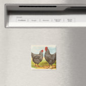 Vintages Plymouth Rock Chickens Magnet (In Situ (Geschirrspüler))