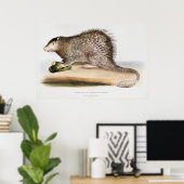 Vintages Porcupine Poster (Heimbüro)