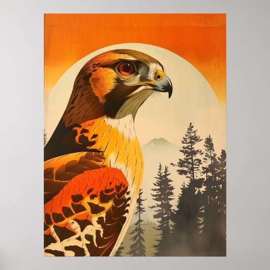 Vintages Portrait des Cooper's Hawk Poster (Vorne)