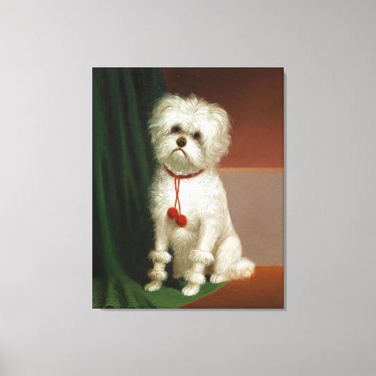 Vintages Portrait eines weißen Hundes Leinwanddruck (Vorderseite)