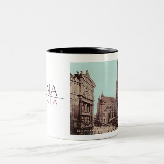 VINTAGES POSTCARD-FOTO 1900 WIEN ZWEIFARBIGE TASSE (Mittel)