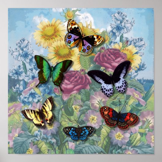 Vintages Poster "Beautiful Butterflies" (Vorne)