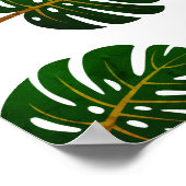 Vintages Poster der tropischen Monstera-Palme (Ecke)