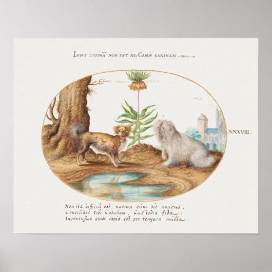 Vintages Poster für Jungtiere (Vorne)