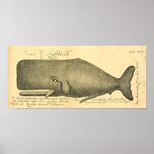 Vintages Poster "Great Whale Illustration Art" (Vorne)