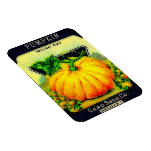Vintages Pumpkin Seeds Packet - Magnet (Rechte Seite)