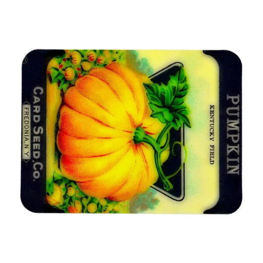 Vintages Pumpkin Seeds Packet - Magnet (Horizontal)