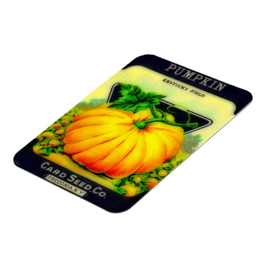 Vintages Pumpkin Seeds Packet - Magnet (Linke Seite)