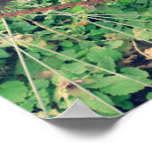 Vintages Red Bicycle Poster (Ecke)