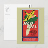 Vintages Red Bill Celery Label Postkarte (Vorne/Hinten)