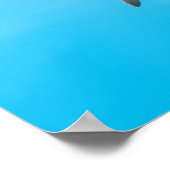 Vintages Reiseplakat für Dolphin Poster (Ecke)