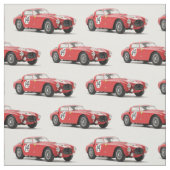 Vintages Rennen-Auto-Gewebe Stoff (Muster)