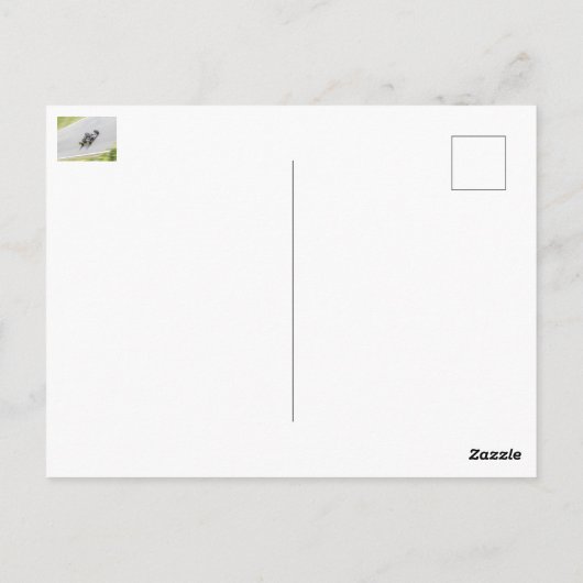 Vintages Rennen Postkarte (Rückseite)