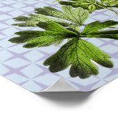 Vintages Retro-Kolumbus-Blumenposter Poster (Ecke)