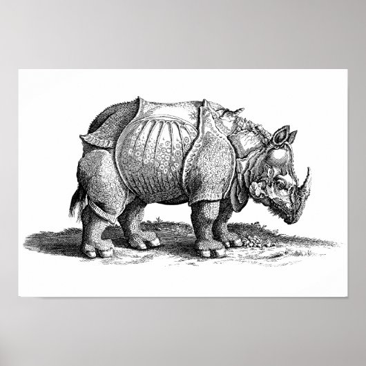 Vintages Rhino - Dürers Rhinozeros Poster (Vorne)