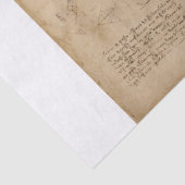 Vintages Rhinozeros Zeichnend Seidenpapier (Detail)