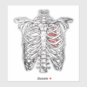 Vintages Ribcage & Herzanatomie Halloween Aufkleber