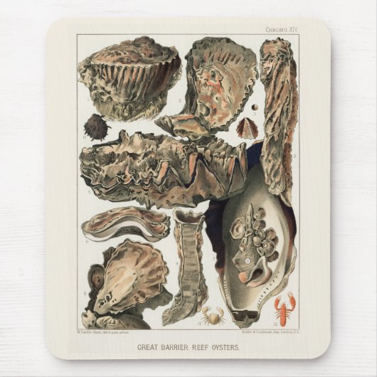 Vintages Riff der australischen Austern Mousepad (Vorne)