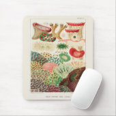 Vintages Riff der australischen Korallen Mousepad (Mit Mouse)