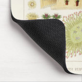 Vintages Riff der australischen Korallen Mousepad (Ecke)