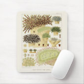 Vintages Riff der australischen Korallen Mousepad (Mit Mouse)