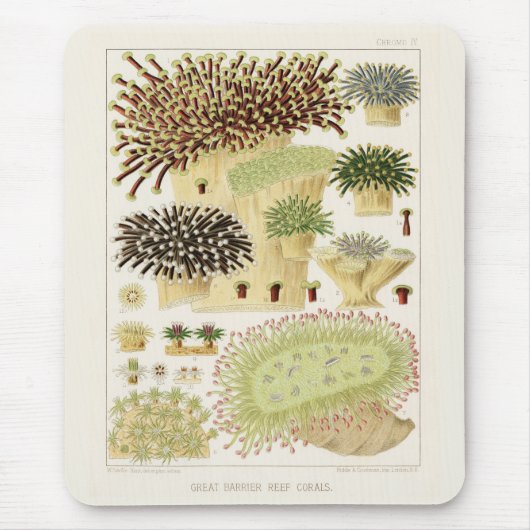 Vintages Riff der australischen Korallen Mousepad (Vorne)