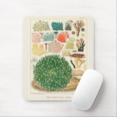 Vintages Riff der australischen Korallen Mousepad (Mit Mouse)