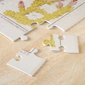 Vintages Riff der australischen Korallen Puzzle (Seite)