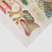 Vintages Riff der australischen Korallen Seidenpapier (Ausschnitt)