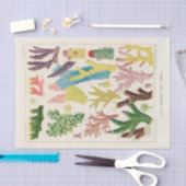 Vintages Riff der australischen Korallen Seidenpapier (Handwerk)