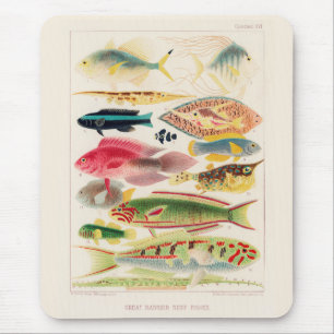 Vintages Riff der Great Barrier Reef aus Australie Mousepad