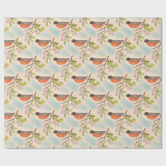 Vintages Robin-Zeichnen Geschenkpapier (Flach)