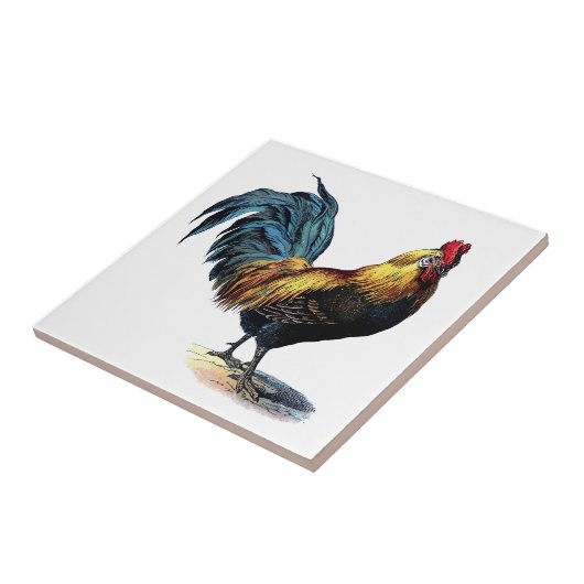 Vintages Rooster Fliese (Seite)