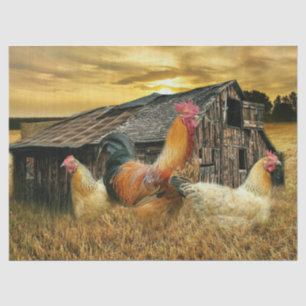 Vintages Rooster Hens Rustikales Barcoop Seidenpapier