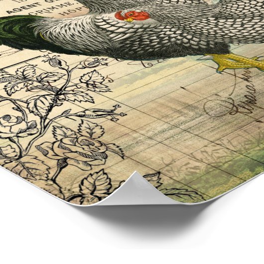 Vintages Rooster und Hen Ephemera Poster (Ecke)