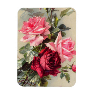 Vintages Rosa und Rosen-Magnet Magnet