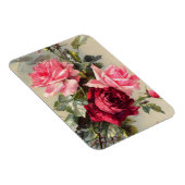 Vintages Rosa und Rote Rosen Magnet (Rechte Seite)