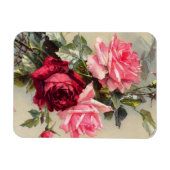 Vintages Rosa und Rote Rosen Magnet (Horizontal)