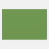 Vintages Rosenpapier Geschenkpapier Set (Vorderseite 3)