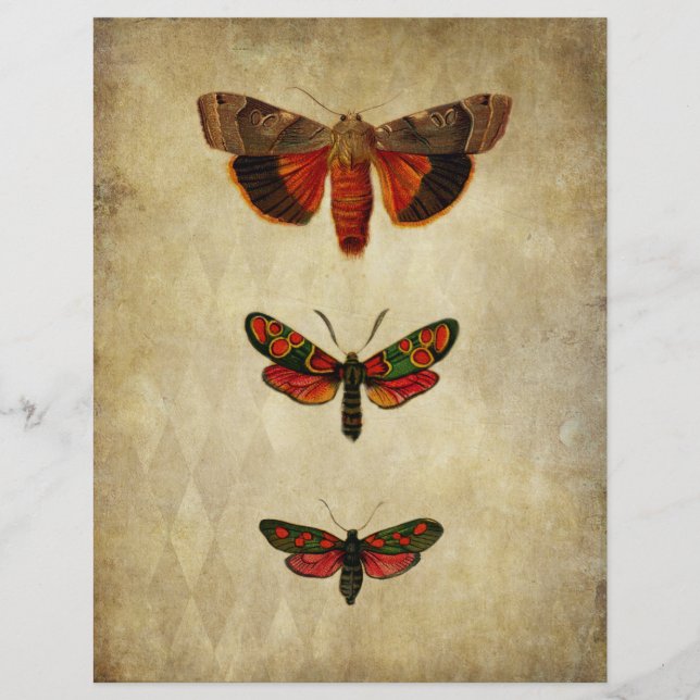 Vintages rotes Moths-Scrapbook (Vorderseite)