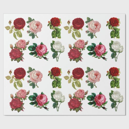 Vintages rotes rosa und weißes geschenkpapier (Flach)