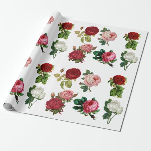 Vintages rotes rosa und weißes geschenkpapier (Ungerollt)