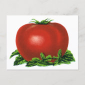 Vintages rotes Tomaten, Gemüse und Obst Postkarte (Vorderseite)