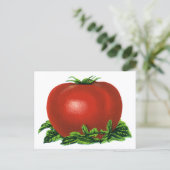 Vintages rotes Tomaten, Gemüse und Obst Postkarte (Stehend Vorderseite)