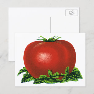 Vintages rotes Tomaten, Gemüse und Obst Postkarte