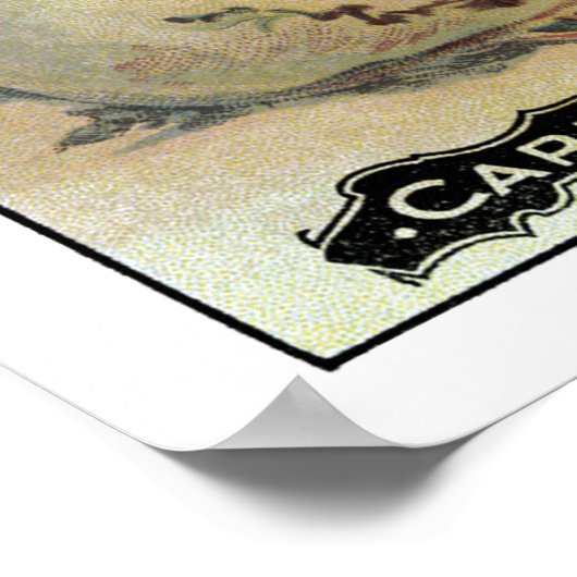 Vintages Rübenfutter Poster (Ecke)