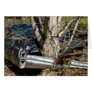 Vintages ruiniertes Auto eingewickelt um Baum