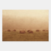 Vintages rustikales Landhaus Hay Bales Geschenkpapier Set (Vorderseite)